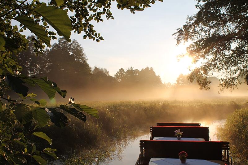 Kahnfahrt auf einem stillen Spreewaldfließ im Morgenlicht